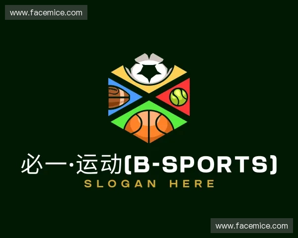了解BSport体育官网